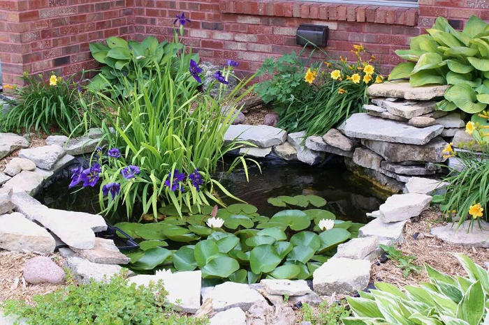 Diversified Pond Supplies