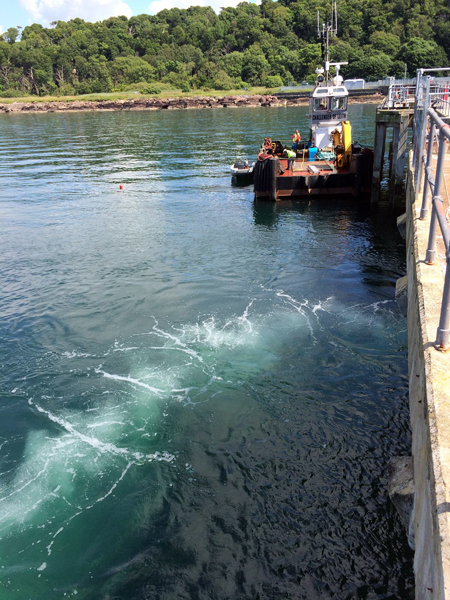 Bubble Tubing